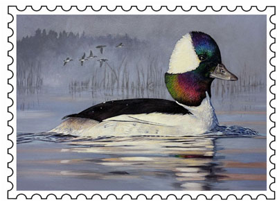 2023 Duck Stamp