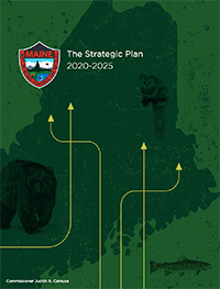 Download the current strategic plan