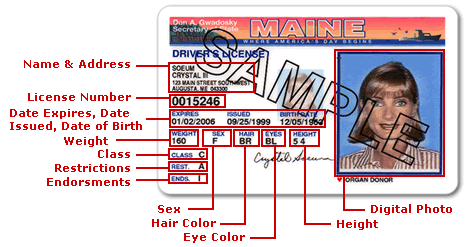 Maine Driver's License Details