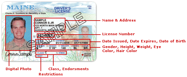 New_License_details